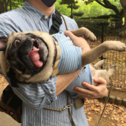 「可愛い愛犬」カイカイでお悩みのワンちゃん必見！【インスタ投稿】皮膚ケア療法食ドッグフード　長期(1ヶ月)モニター　ワンちゃん10名様大募集！の投稿画像