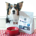 ・パピーの頃から皮膚が弱めで口周りやおなかの毛が薄く、気がつくと首を掻いたり手足を舐めていることが気になっていました。・そこで、DOGSTANCE 療法食 皮膚ケア（フィッシュ）を1ヶ月間&hellip;のInstagram画像