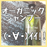オーガニックシャンプー使ってみました♡オーガニックって<カラダにいいけど実際どうなわをだろう？>と正直思ってました。が。香りもとっても良いし翌日の髪ざわりが良い( ​*&hellip;のInstagram画像