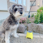 ✩.*˚塗らない＆吹かない蚊除け🕷これからのガーデニングやバーベキューに最適かな？🙌虎さんにも効果があるといいなぁ🥺．．．．#アウトドア #キャンプ #KAKOI &hellip;のInstagram画像