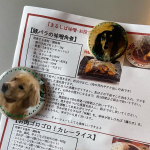 父の日のプレゼントに、愛犬のマグネットを作ってプレゼントしました(^^)とても喜んでもらえました。簡単ですぐ仕上がって便利でした(^^)#みんなのバッジ #缶バッジ #缶バッジ作り #マグ&hellip;のInstagram画像