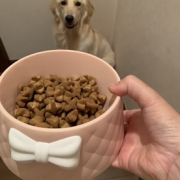 食べること大好き