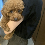 よろしくお願い致します。