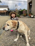 「そら」の画像（1枚目）