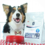 ・皮膚ケア療法食ドッグフード、DOGSTANCE 療法食 皮膚ケア（フィッシュ）を1ヶ月間お試ししました🌿・パピーの頃から皮膚が弱めで口周りやおなかの毛が薄く、首を掻いたり手足を舐めて&hellip;のInstagram画像