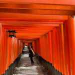 土日で京都を堪能してきました大好きなリーガロイヤルホテルに宿泊し夜は夜の京都水族館チェックアウトしてからは伏見稲荷へ屋外ばかりでいつも悩みの虫よけ今回は力強い味方を連れて行きま&hellip;のInstagram画像
