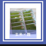 🌫健康管理に最適でした🌫ハイゲンキスピルリナを飲んで前より健康になりました！本当に効果があるのか不安でしたが間食も減り便秘も改善されました🥰#玄米酵素 #ハイゲンキ #ハイゲンキスピル&hellip;のInstagram画像