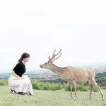 時差投稿🦌鹿さんは、遠目に見ると可愛いけど、近くで見るとなかなかの迫力🌱せんべい持ってることがバレた時は怖かった🤣でも、追いかけられながらも、遊んでもらえて楽しい思い出です😌🙏✨ア&hellip;のInstagram画像