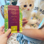 猫さん好きにはたまらない♡ウェルベストさんのアロマdeマスク😊ハリネズミさんのイラストで有名ですが、これは猫さんバージョンです🐈&zwj;⬛鏡を見るたび癒されて&hellip;香りに癒されて&hellip;。お仕事も&hellip;のInstagram画像