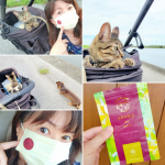 昨日の散歩😸🐶🐾アロマdeマスクも一緒🎶これ付けてると、たまに、それなぁに？て聞かれるの🤭うーたんとつける時は、色違いに貼って、飲食で外した時の、どっちがど&hellip;のInstagram画像
