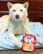 .ペットラインさんのメディコート＜ライフアシスト＞ペーストタイプ をお試しさせていただきました🐾..シリンジご飯によさそうだなと気になってたので、お試しできて嬉しい&hellip;のInstagram画像