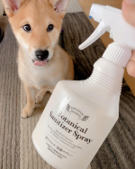 今日からルーは生後4ヶ月目に突入します🐕✨⁡手当たり次第なんでもガブガブなめなめ、イタズラ大好きなヤンチャ君😂あと1週間で家に来て2ヶ月何だけど&hellip;⁡餌の次に1番消費するものと言えば&hellip;のInstagram画像