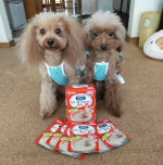 ワンちゃんの介護食🐶メディコート　ライフアシスト🐾*ペーストタイプでとろ〜りなめらか✨噛む力が弱くて硬いドッグフードが食べられないワンちゃんにオススメてす👍食欲がないときや術後にも&hellip;のInstagram画像