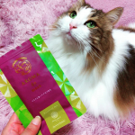 新しい生活様式にやさしい香りAROMA de mask(@aroma_de_mask)『ベルガモット CAT』&middot;今や毎日の生活の中で手放せなくなったマスク。&middot;そんなマスクに&hellip;のInstagram画像