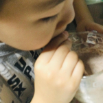 こんにちは！モニプラさんで成長期応援飲料の【アスミール】をお試し中です💕💕息子もクラスで一番小さく悩んでいたのですが、牛乳をあまり飲んでくれないし、娘も好き嫌いが多いのでうれしいです。忙しい朝にも&hellip;のInstagram画像