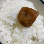 川辺食品様の幻の梅お試しさせて頂きました😀フルーティーな甘み。容器もしっかり密封できるのでそのまま冷蔵庫へ入れられるのが良き(*&Uuml;*)ﻌﻌﻌ&hearts;そのまま食べると口いっぱいに梅の芳醇な香りが広&hellip;のInstagram画像