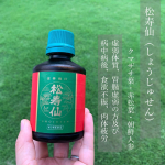【松寿仙（しょうじゅせん）】友達とも話してるけど、やっぱり年齢を重ねる毎に、普通の食事だけじゃなくてプラスアルファ健康に良い事していきたいよねって。どんどん肉体的にも辛くなってくるから&hellip;のInstagram画像