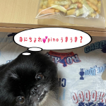 ♪2021/10/8♪見つかった〜😱♪晩御飯作る時にちょっと小腹が&hellip;😅ってない⁉️#もち吉　さんのモニターに応募して　#からしマヨネーズあられ　をいただいたのでつまもうかなぁ〜って出し&hellip;のInstagram画像
