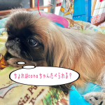 ♪2021/10/11♪またまた昨日に続きまして〜😜✌️♪引き続き&hellip; #モニプラ　のモニターに当選しまして〜🎶♪今日は　#みんなのバッチ　で利用できるキャンペーンコード💕♪&hellip;のInstagram画像