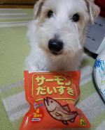 美味しそうなかつお節だよーん。100年を越える老舗のマルトモさんの花かつお。袋をあけると良い香り。ぺーも、すっ飛んで来たけど、飼い主も深い深呼吸😀カリカリフードのトッピング。わしゃわしゃ食べてます🎵&hellip;のInstagram画像