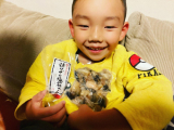 「活ツブの塩茹で」の画像（3枚目）