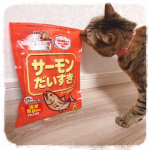 ◆+｡･ﾟ*:｡+◆+｡･ﾟ*:｡+◆+｡･ﾟ⁡⁡創業100年を超えるかつお節屋、マルトモ株式会社さんのわんちゃん・ねこちゃんのためのかつお節「サーモン大好き」‼︎❤️⁡国産の&hellip;のInstagram画像