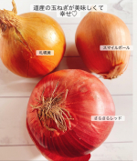 YOUR ONIONS提案 タマネギ3種セットをお試しさせていただきました♡スマイルボール、さらさらレッド、札幌黄の3種類です♡生で食べても辛くないスマイルボールは以前、初めて食べた際に本当に辛く&hellip;のInstagram画像