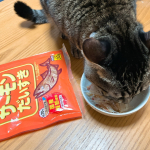 最近我が家の猫たちの中で大ブームのかつお節♪マルトモさんのかつお節シリーズを愛用しています～！いろいろな種類があるのですが、今回は「サーモンだいすき」を♡袋をあけただけで、香りにつられ&hellip;のInstagram画像