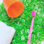 【天使の歯ブラシ🪥】天使の歯ブラシって言われてるスイス生まれの「クラプロックス」って、知ってますか？これ世界75ヵ国で販売されてるんですって‼️植立本数5460本👀&hellip;のInstagram画像