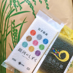 ⁡⁡岩手県産ブランド米「金色の風」「銀河のしずく」を食べてみました🌾⁡〜「金色の風」こんじきのかぜ〜岩手県が独自開発した革新的技術で10年かけてたどり着いたおいしさを味わえます！⁡〜&hellip;のInstagram画像