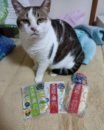 pdc様から酒粕パックと入浴剤をいただきました🙇&zwj;♀️❤️ありがとうございます🙇&zwj;♀️✨パックはめちゃくちゃ良い！もち肌になります！パックした後りょうくんが触ってもち肌ってびっくりしてた笑笑😂&hellip;のInstagram画像