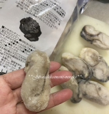 「いつでも食べたいときに牡蠣が食べられる幸せ。」の画像（1枚目）