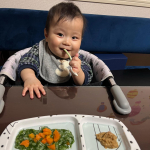 ⋆͛🦖⋆͛#やっと椅子に座れるようになった #ハイチェア問題 #スプーン逆ですよ#いちいち偉そう #どこでも立ちたい#どっしんどっしんやめて#ベビーサークル要らず#いち&hellip;のInstagram画像