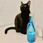 「2歳」【動画・SNS投稿】キャットフード試食モニター猫ちゃん募集！モニター30名様大募集！の投稿画像