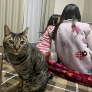 「甘えんぼうです」【動画・SNS投稿】キャットフード試食モニター猫ちゃん募集！モニター30名様大募集！の投稿画像