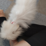 「着圧が気持ちいい」の画像