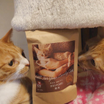 興味津々です💗これから食べていただきます！！#キャットスタンス #CATSTANCE #鹿肉キャットフード #国産無添加 #キャットフード #鹿肉ドライ #鹿肉ウェット #ひめ鯛ウェット &hellip;のInstagram画像