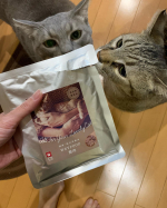 鹿肉のウエットタイプとドライタイプをあげてみました。ちょっとお肉食感が感じられるタイプで完全ペーストではなし。麦さんは食いつき普通。生さんはよく食べてくれました。1袋の量が多か&hellip;のInstagram画像