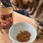 完全肉食動物の猫の代謝にあった野生鹿肉を使ったドライフード、キャットスタンスの鹿肉ドライをご紹介いただきました。このキャットスタンス 鹿肉ドライは、野生鹿肉を低温調理にこだわった国産の無添加キ&hellip;のInstagram画像