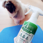 おうち対策🏠我が家には花粉症、ハウスダスト更にペキニーズを飼ってます🐶洗いたくても頻繁に洗えないものあるよね💦SHE&YOUアレルキエールは布製品のソファ・椅子、カーテンな&hellip;のInstagram画像