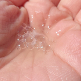 口コミ：【世界初！完全無添加&times;天然ヒト型セラミド美容液】ピュアスキンセラミドセラムの画像（4枚目）