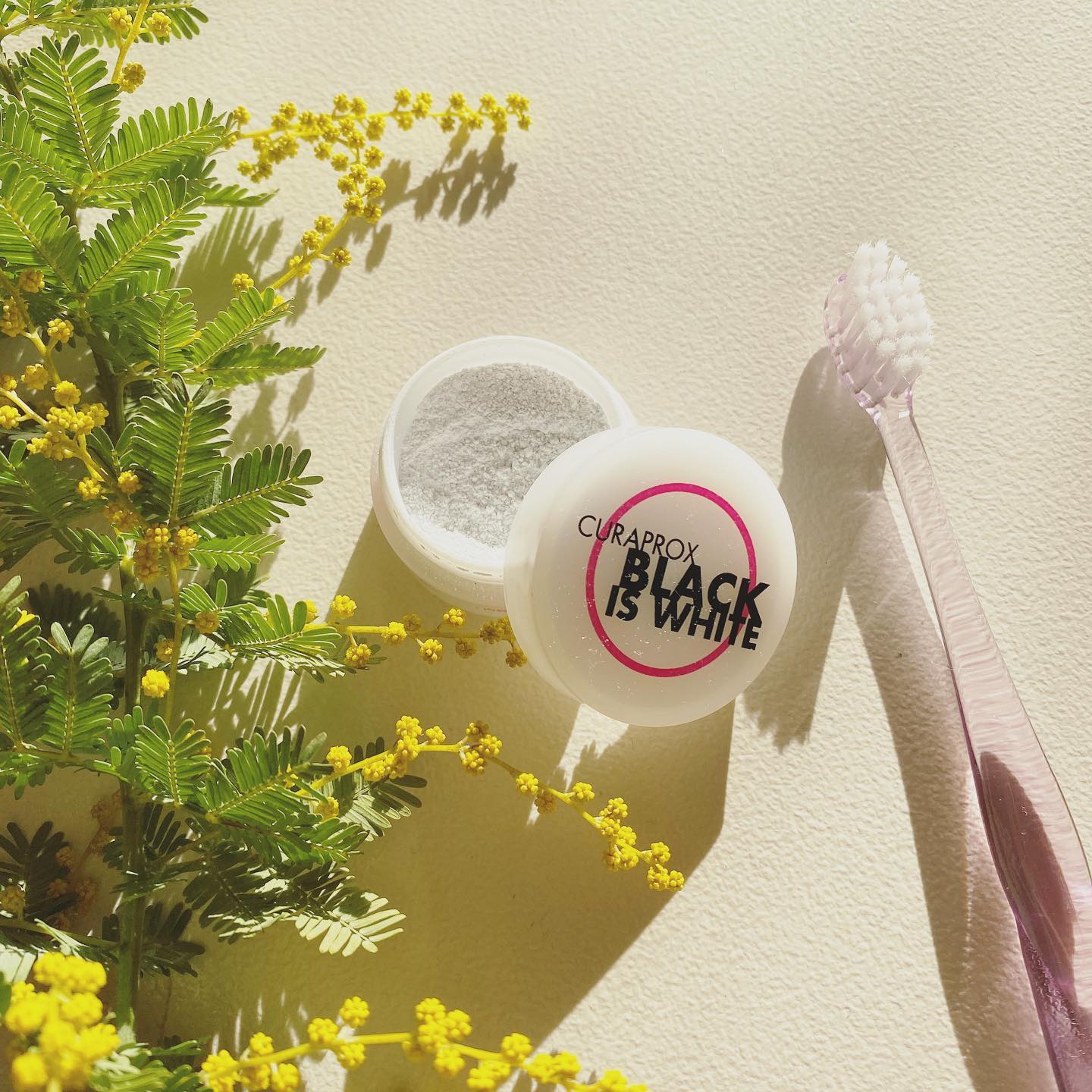 口コミ投稿：🦷..@curaproxjapan さんの粉はみがきをお試しさせて頂きました🪥歯の汚れや黄ばみ歯垢…