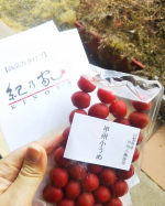 甲州小梅！小梅のカリカリ感が大好きなんです！！⁡⁡サラダに合わせたり、梅ジャコとかも好き！⁡⁡⁡⁡今回はシンプルに、雑穀米のおにぎりの具材で🍙💓⁡⁡⁡⁡・⁡⁡そして、オートミールの上にもポ&hellip;のInstagram画像