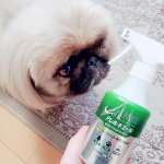 対策🏠 ⁡⁡帰ってきたら衣類に ⁡シュッシュッと使えるSHE&YOUアレルキエール❗⁡⁡⁡愛犬の抜け毛も気になるし💦⁡⁡お掃除した後に使うのも効果的🏠⁡⁡⁡頻繁に洗えない⁡&hellip;のInstagram画像