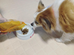 ..袋開けたらすぐ寄ってきた🐶..最初は警戒してたけどすぐ完食🌷..モニターのご縁をいただきありがとうございました🥳..#pHサポート #ペ&hellip;のInstagram画像
