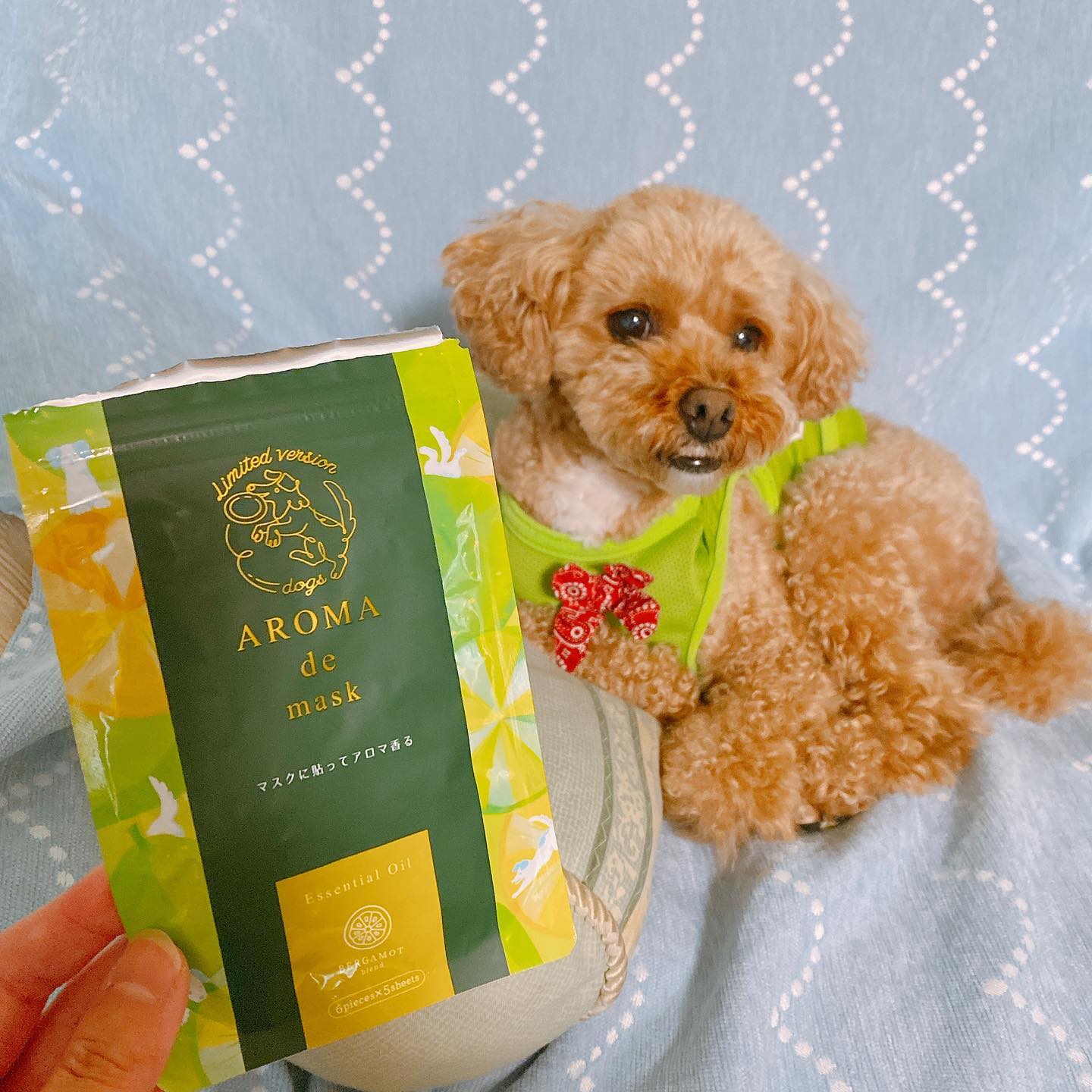 口コミ投稿：❤️🧡💛AROMA de mask💛🧡❤️..時期によっていろんな香りやイラストが登場しますっ！.実家…