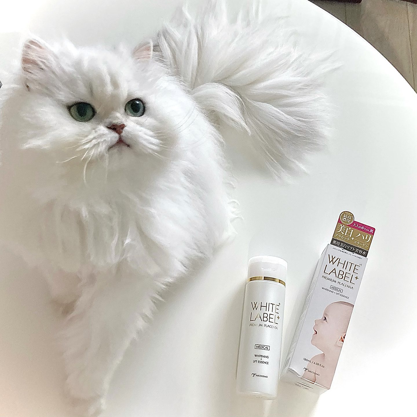 口コミ投稿：𓂃𓈒𓏸𓍯＼美白×ハリ 赤ちゃん肌に✨／・・・・・・・・・・・・・・・・ ✔ホワイトラベル…