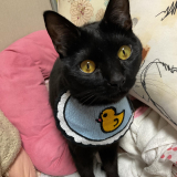 「まだ若いけど」の画像（2枚目）