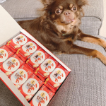 .小さい頃から今も大好きでよく買うビスコ🍭🍬🍪スマイルビスコで愛犬のオリジナルビスコを作ってみましたჱ̒  ｰ̀֊ｰ́ )あぁぁぁぁ!!可愛すぎ💕写真を2枚選んでそれぞれ作りました🥰グ&hellip;のInstagram画像