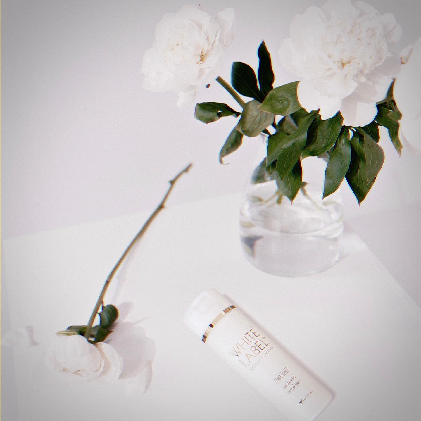 口コミ投稿：MICCOSMO@miccosmo さんのホワイトラベルプラス🌙美白効果のある濃厚美容液。コラーゲ…